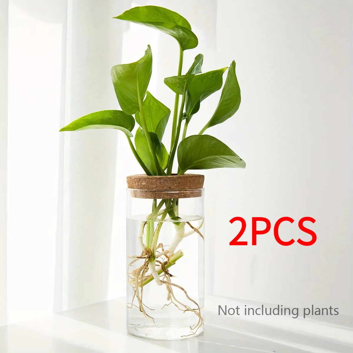 1pc, Hydroponics Plants Desktop Glass Planter Vase For Home Decoration, Plant Propagation Station Bud Vase, Desktop Hydroponics GLOBGRIP®