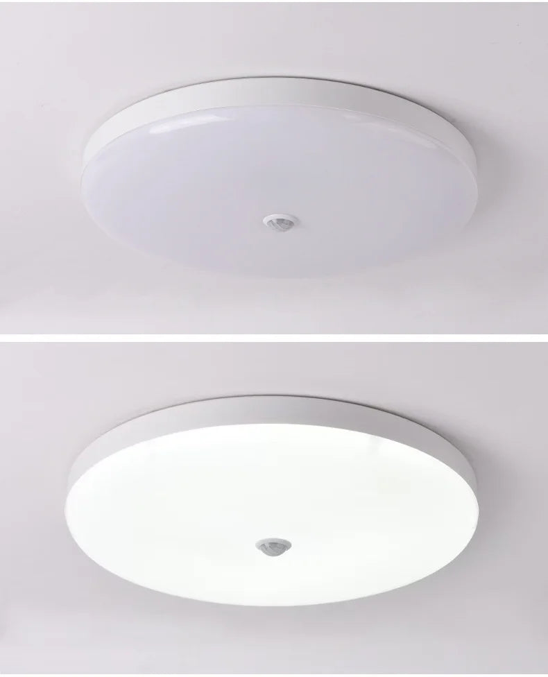 Motion Sensor LED Ceiling Light Human Infrared Sensing Light Home Garage Attic Front Door Corridor Staircase Warehouse Light GLOBGRIP®