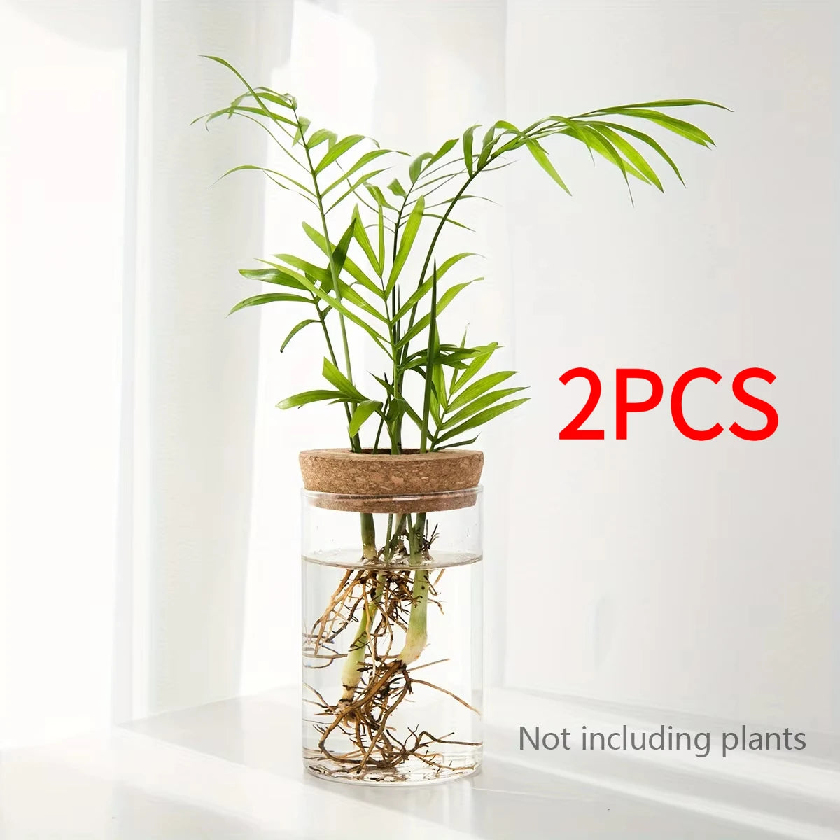 1pc, Hydroponics Plants Desktop Glass Planter Vase For Home Decoration, Plant Propagation Station Bud Vase, Desktop Hydroponics GLOBGRIP®