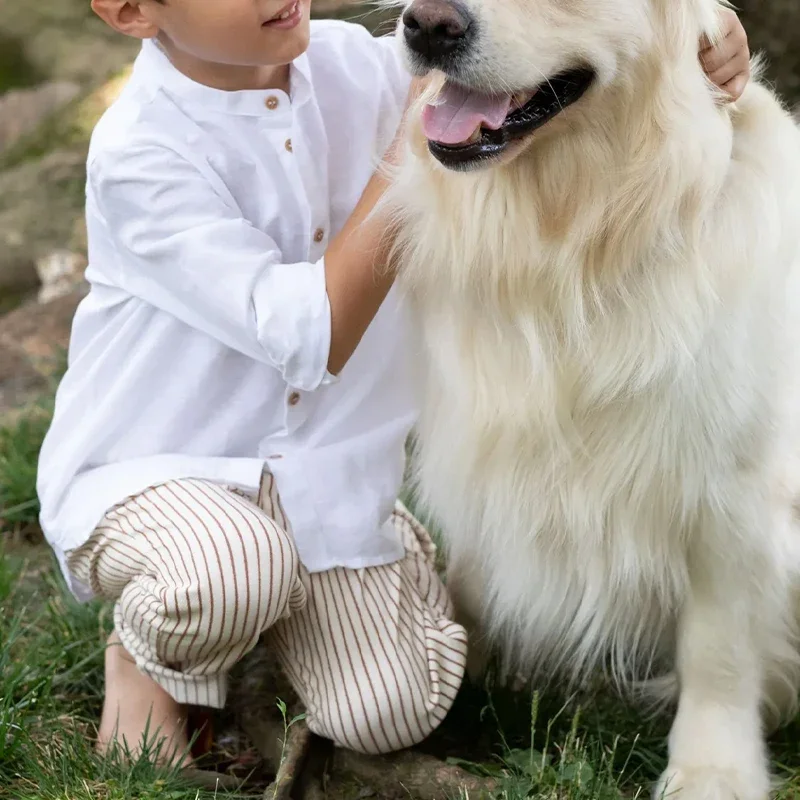 S3073de639d524a61b615ce7ff28bc465B.webp