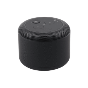Portable Speaker